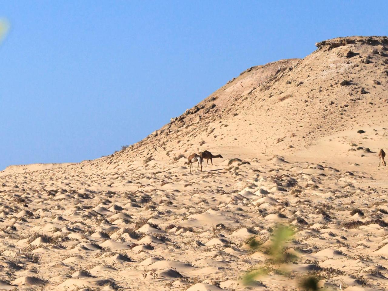 فندق Dakhla Kitesurf World المظهر الخارجي الصورة